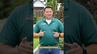 Effective Strategies for Weed Control In Your Lawn [upl. by Kalk839]