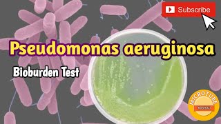 Pseudomonas aeruginosa detection in pharmaceutical products Bioburden Test [upl. by Sheepshanks214]