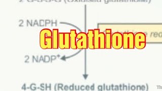 Glutathione Biochemistry Synthesis and Functions of Glutathione glutathione [upl. by Asilak]