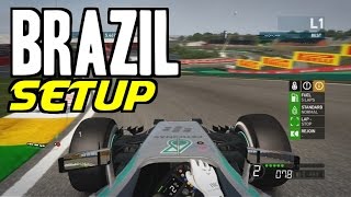 F1 2014 Brazil Hotlap  Setup [upl. by Hedy979]