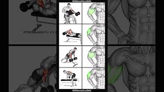 Arm workout using dumbbell [upl. by Deppy537]