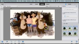 Create a Painterly Effect with Your Photos using Photoshop Elements 15 [upl. by Baillieu]