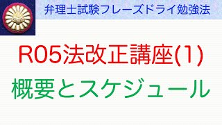 令和５年・法改正講座1〜弁理士試験対策 [upl. by Bluma]