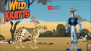 Wild Kratts Games 29 Wild Kratts Go Cheetah Go  Cheetah Race [upl. by Vally]