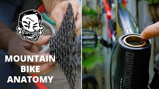 Mountain Bike Anatomy  50 parts in 5 minutes [upl. by Eelarol89]