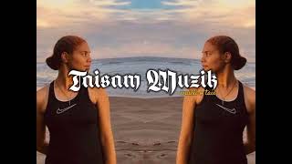 Ting A Ling Remix 2024 Dancehall Mix WAILEIOTAI [upl. by Galanti]