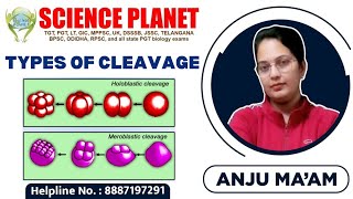 TYPES OF CLEAVAGE II BY ANJU MAM II SCIENCE PLANET II Embryonic Development [upl. by Otina619]