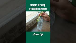 Simple amp easy diy drip irrigation system [upl. by Ahset]