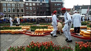 Kaasmarkt in Alkmaar [upl. by Tessie106]