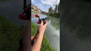 WELS CATFISH SUMMER FISHINGcasting [upl. by Ivens159]