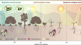 Global ecosystem thresholds driven by aridity [upl. by Dloreg]