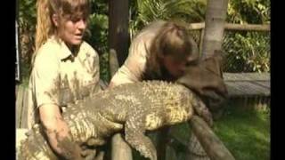 Steve Irwin  Most Dangerous Encounters Part 4 [upl. by Alfred]