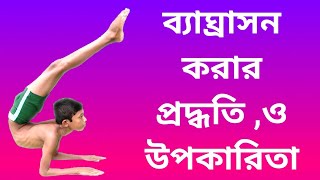 How to do Baghrasana and its benefits [upl. by Lenahs523]