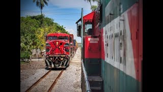 Las locomotoras de Ferromex [upl. by Rona]