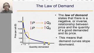 ECON Lecture 6 Demand Function [upl. by Lambard]