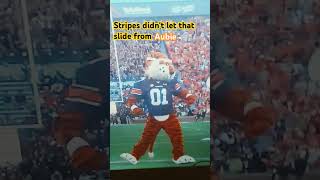 Aubie plans revenge on Stripes after this [upl. by Maillw]