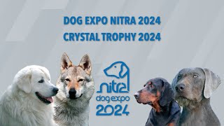 DOG EXPO NITRA 2024 Friday [upl. by Kampmeier]