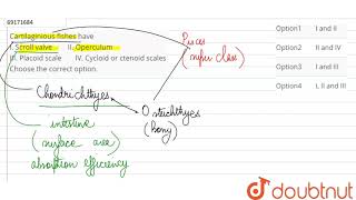 Cartilaginious fishes have I Scoroll valve quot quot II Operculum III Placoid scalequot quot [upl. by Wilow]