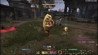 ESO PVP 1 Bar Nightblade Ganking Is So Fun 💙😊 [upl. by Ellehsram]