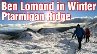 Ben Lomond in Winter via Ptarmigan Ridge [upl. by Fiora]