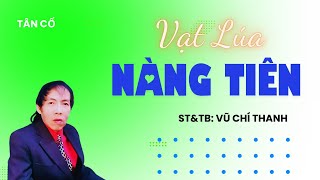 Tân Cổ  VẠT LÚA NÀNG TIÊNSTampTB VŨ CHÍ THANH [upl. by Lahtnero]