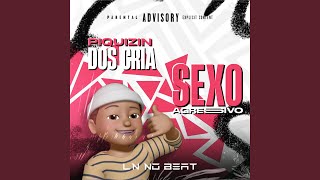 Sexo Agressivo  Piquizin dos Cria [upl. by Jabon264]