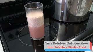 How To Make a Starter Yeast for Beer or Wine or Alcohol Shorts [upl. by Lletnom922]