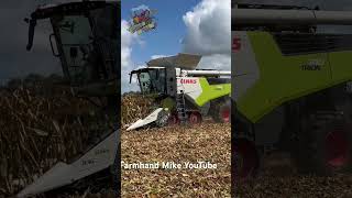 Claas 740 Trion combine at the Farm Progress Show Harvest Demonstration [upl. by Rushing31]