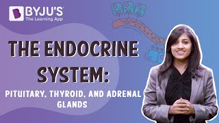 The Endocrine System  Pituitary Thyroid And Adrenal Glands  Class 10  Learn With BYJUS [upl. by Min100]