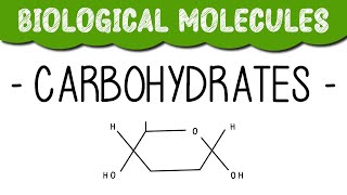 A Level Biology quotCarbohydratesquot [upl. by Etnwahs435]