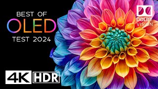 OLED TEST 2024  4K HDR Video ULTRA HD 60FPS  DOLBY VISION [upl. by Hirza]