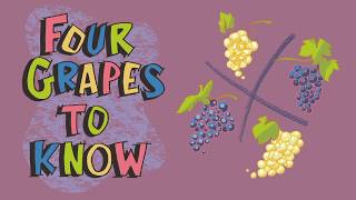 Explaining Wines from Spain 4 Grapes to Know [upl. by Henry476]