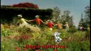 Comercial Margarina Regia  Niños Ecuador [upl. by Eilatam]