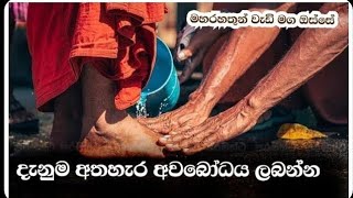 දැනුම අතහැර අවබෝධය ලබන්නMaharahathun Wedi Maga Osse [upl. by Paryavi794]