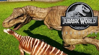 DINOSAURIOS CARNIVOROS CONTRA DINOSAURIOS HERBIVOROS JURASSIC WORLD EVOLUTION [upl. by Muller]