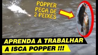 DICA  COMO TRABALHAR ISCA POPPER ISCA DE SUPERFÍCIE Pega 2 peixes logo [upl. by Craig]