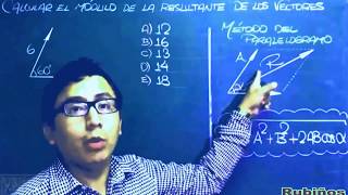 Vectores  Teoría  Ejercicios y Problemas Resueltos de Fisica [upl. by Gorman]