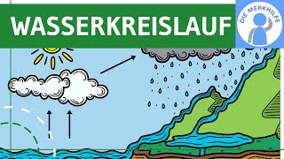 Wasserkreislauf  Begriff Ablauf Prozesse amp Globaler Kreislauf einfach erklärt  Ökologie  Bio [upl. by Jer628]