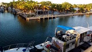 skipjack resort marathon key florida [upl. by Nnylrats658]