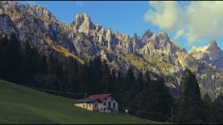 DAGLI ALPEGGI ALLA DESMONTEGADA VAL CANALI [upl. by Luht382]