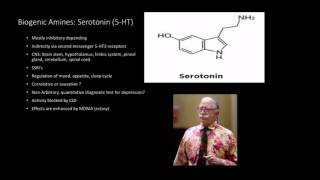 Neurotransmitters Biogenic Amines [upl. by Orhtej]