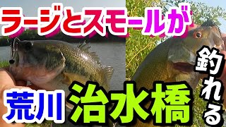 荒川【治水橋】ラージとスモールが両方釣れる！ [upl. by Eisus]