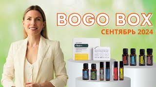 BOGO BOX doTERRA  Сентябрь 2024 [upl. by Montford893]