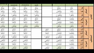 Arabic Verbs  0081 balagha to reach بلغ active voice past present and imperative [upl. by Naujal]