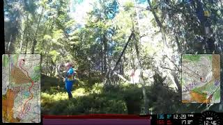 HeadCam Orienteering  Jan Sháněl FIN5 2017  E5  long  H21A [upl. by Pedro]