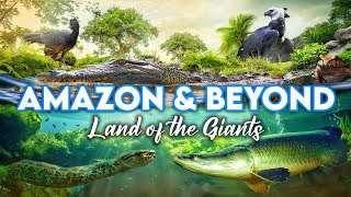 Zoo Tours Zoo Miamis Amazon amp Beyond  PART TWO [upl. by Ehcor]