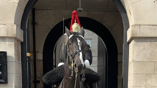 Famous kings guard Blues and royals on duty today [upl. by Ik]