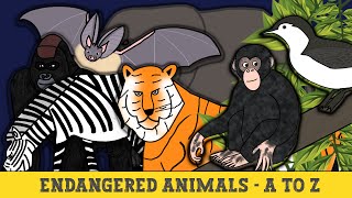 Endangered Animals A to Z [upl. by Bornie]