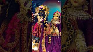 ✨🍀🌼Meera K Prabhu Girdhar Nagar🌼✨🍀 Radhe Shyam Bhajan Status  bhaktiraag 🙏 [upl. by Danforth]