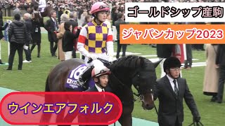 【ゴールドシップ産駒】GⅠ初出走のウインエアフォルクとジャパンカップ初騎乗の藤田菜七子騎手の初めてコンビ❗️【ジャパンカップ2023】 [upl. by Adlen]